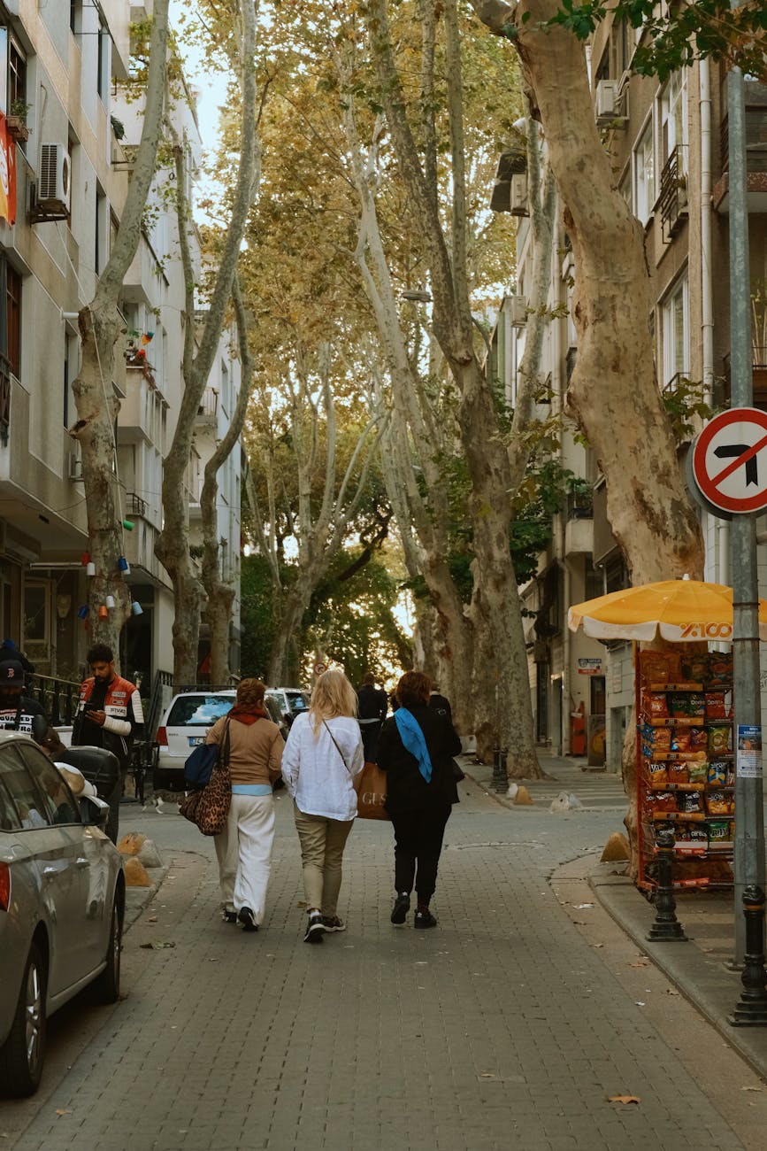 A tree-lined street with people walking, showcasing urban life in autumn.