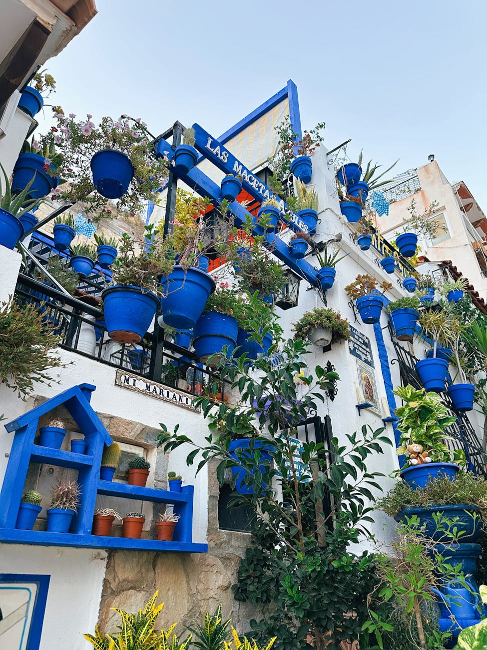 Colorful wall adorned with blue flower pots in a charming Mediterranean street, full of plants.