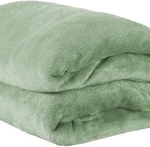 Cobertor Casal Manta Microfibra Fleece 01 Peça Erva Doce