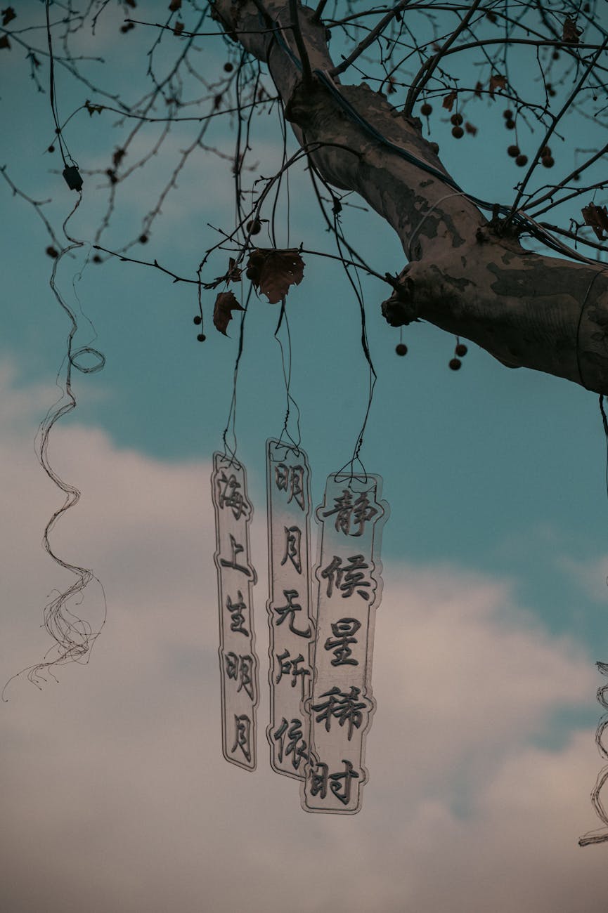 Artistic hanging scrolls with Chinese inscriptions on tree branches against the sky.