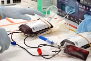 Testemunhas de Jeová: Novas Regras sobre Transfusão de Sangue e Famosos Impactados