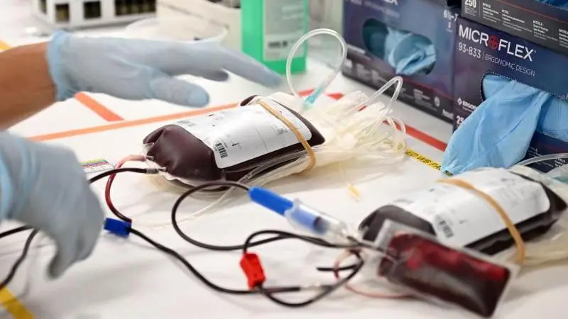 Testemunhas de Jeová: Novas Regras sobre Transfusão de Sangue e Famosos Impactados