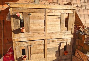 Desmantelada Rinha de Galos em Rio Claro: 24 Aves Resgatadas