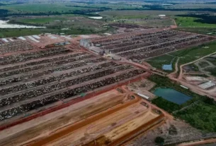 Fazenda Conforto Analisa Proposta de Júnior Friboi para Venda