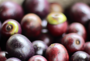 Açaí e cupuaçu podem aumentar sua energia de forma imediata