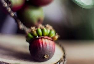 Açaí pode ser mais poderoso do que você imagina