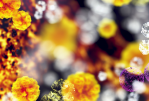 Carambola pode afetar seu corpo de forma que poucos imaginam