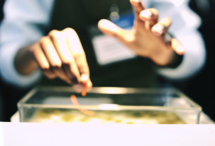 Pera pode fazer isso com seu organismo e surpreender especialistas